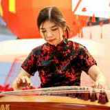 Musik Guzheng Harpa Erhu Dll