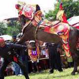 Kuda Renggong Surya Kencana