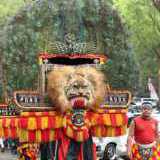 Reyog Ponorogo Mardiselo