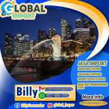 JASA IMPORT SINGAPORE TO JAKARTA | GLOBALIMPOR.COM | 0822-6890-2730