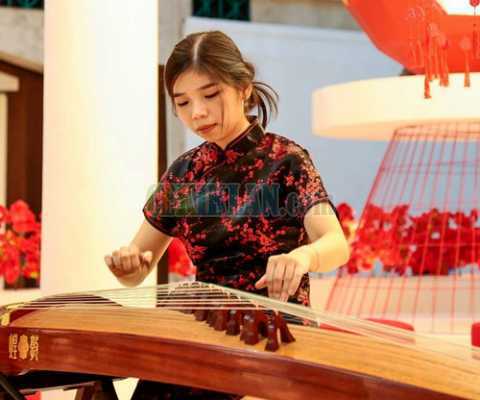 Musik Guzheng Erhu Pipa