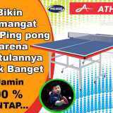 Tenis meja pingpong merk ATHLETE