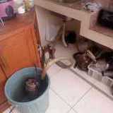 Jasa saluran air mampet bandung