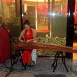 Musik Guzheng Ci Santi