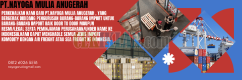 Jasa Import Elektronik Ke Indonesia