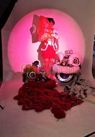 Grup Barongsai Tjong A Fei