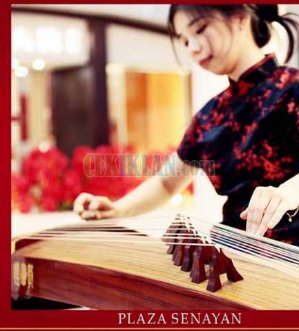 Musik Mandarin Guzhen Erhu