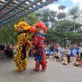 Grup Barongsai Kota Depok
