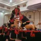 Grup Sisingaan Cakra Kencana