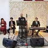 Organ Tunggal Pernikahan Parmonas Studio